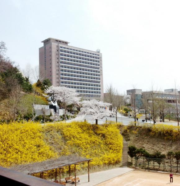 国民大学