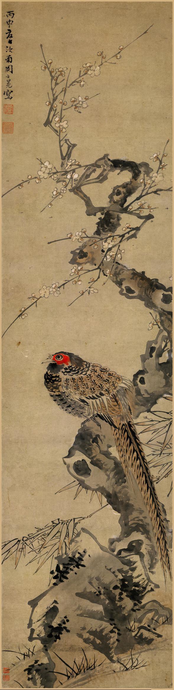 梅花野雉图