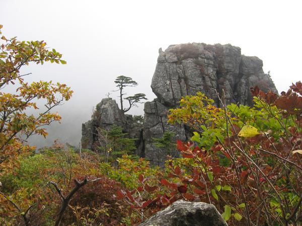 智异山国立公园