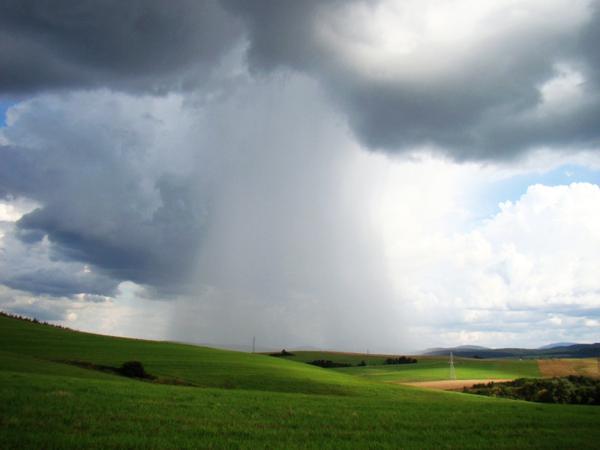 雨