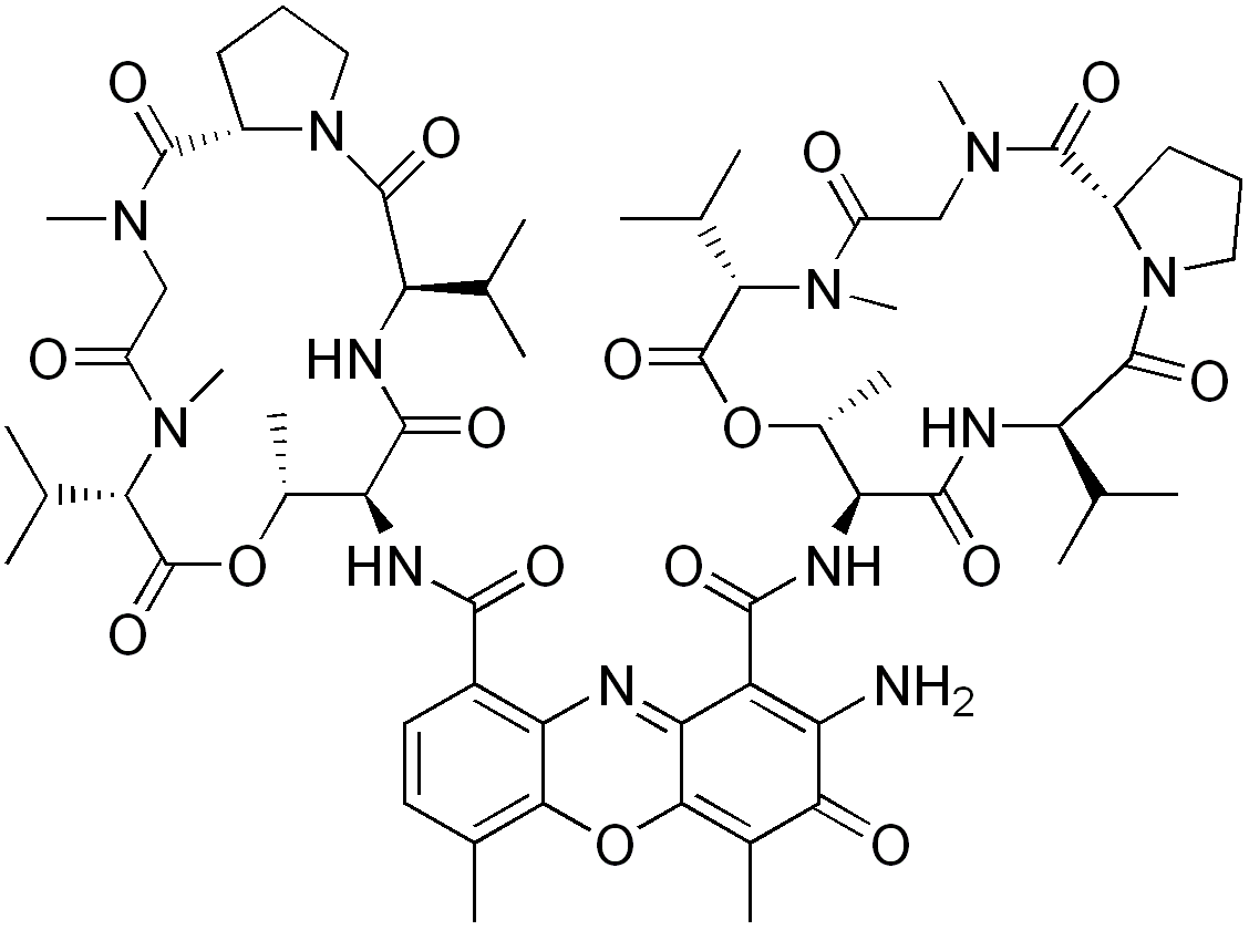 放线菌素