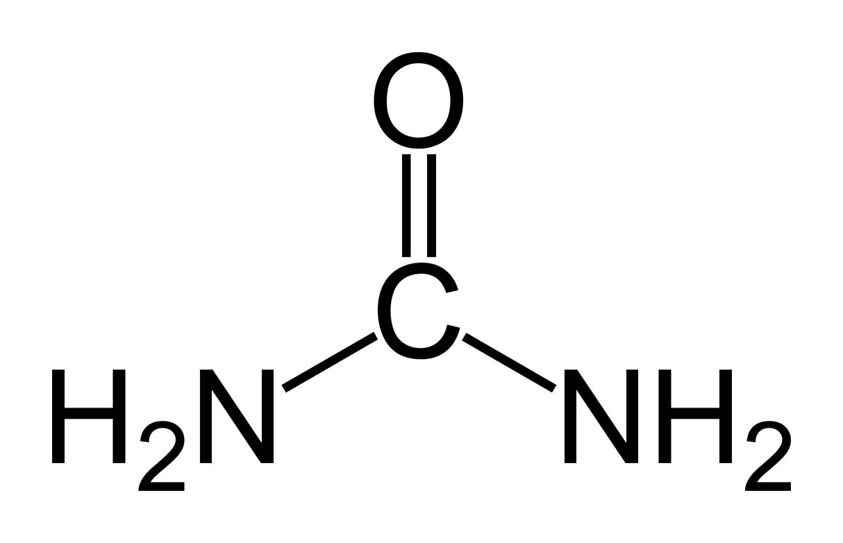 尿毒癥