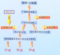 非甾体抗炎药