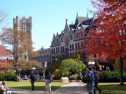 芝加哥大学