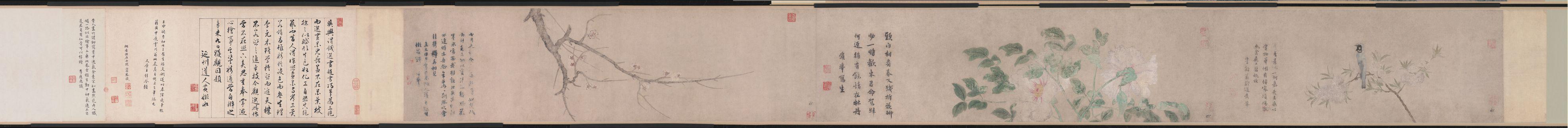 花鸟图卷