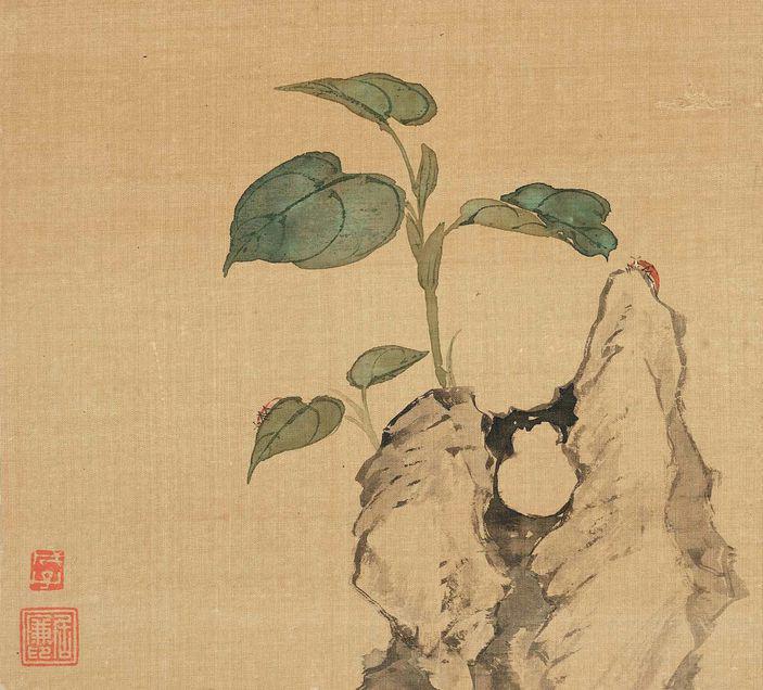 花卉奇石册-十二开-7