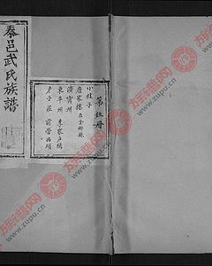 武氏族谱-武氏家谱-武氏家谱查询-炎黄武氏网
