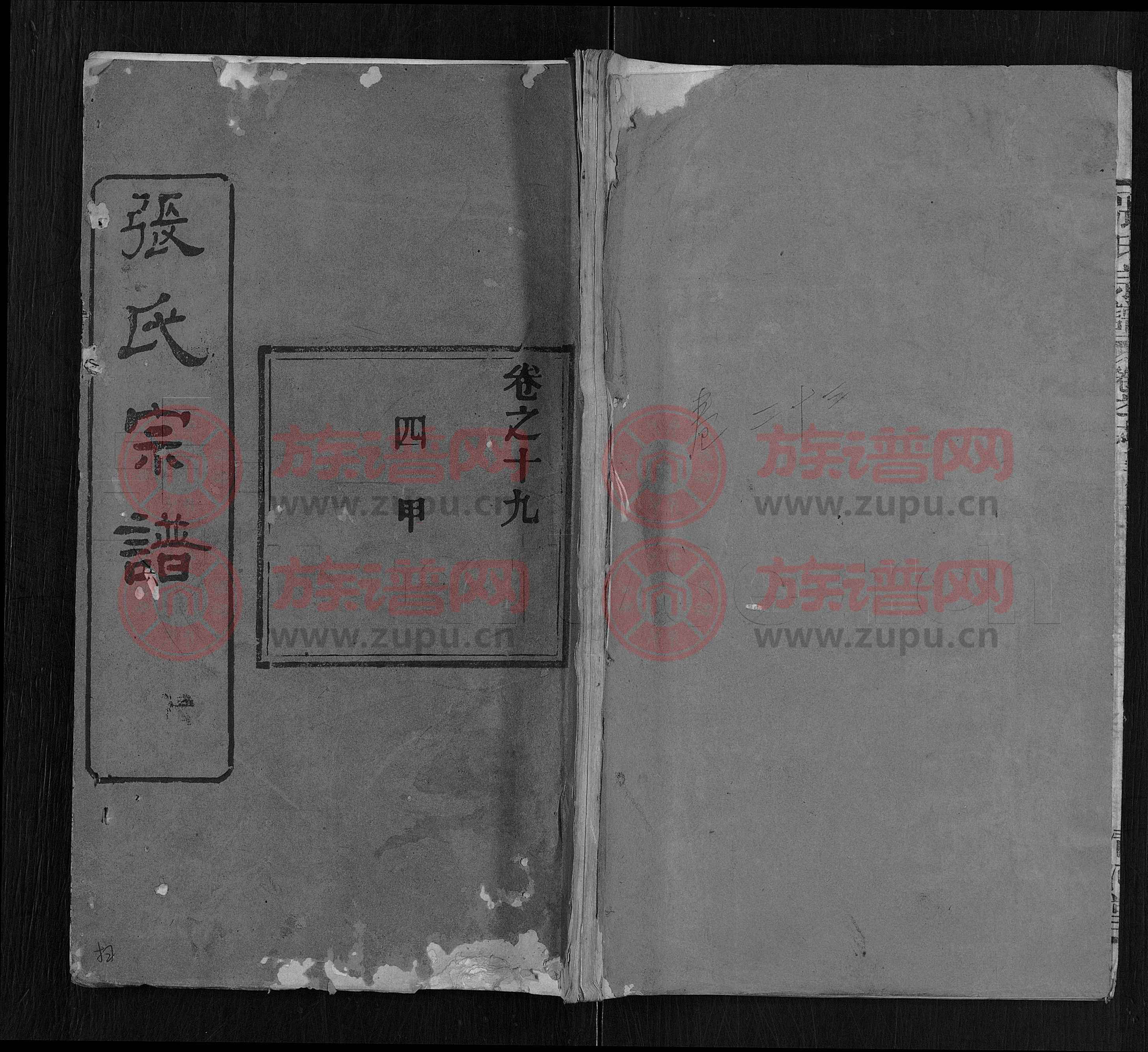 清河堂張氏宗譜 [69卷,首11卷]第25本 - 張氏堂號字輩查閱 - 族譜網