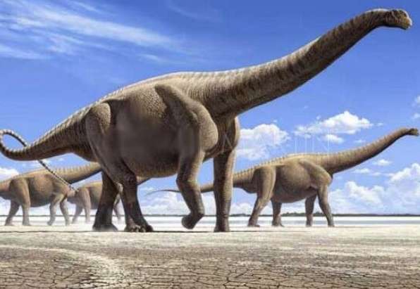 世界上最大的恐龙易碎双腔龙体长80米重220吨