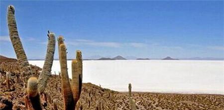 探索安第斯木乃伊：千年女尸肉体不腐的奥秘