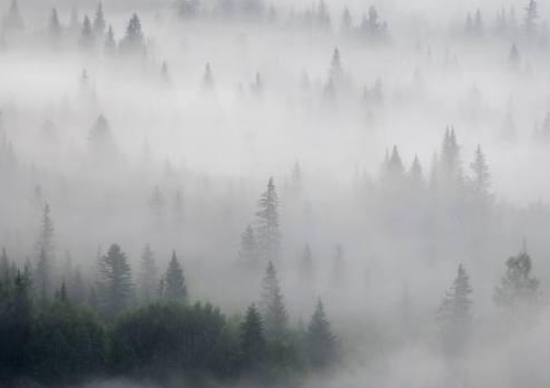 1555916407560492.png image.png