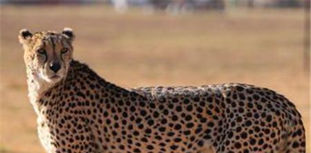 1494724054699454.jpg 20170331040458634.jpg