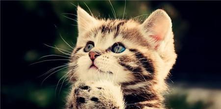 1494724062467958.jpg 144462781367059618.jpg