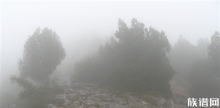 揭秘武则天陵墓:人进入的人瞬间毙命!