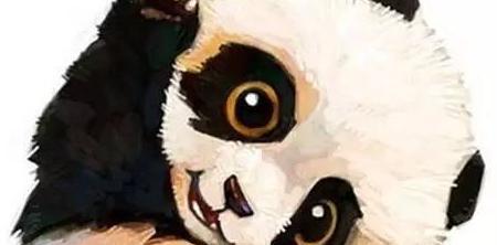 1499925855410390.jpg 3.jpg