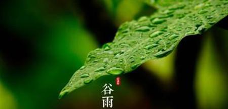 谷雨的谚语：关于谷雨的民间谚语大全