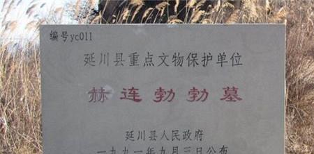 1485327137675454.jpg 3_副本.jpg