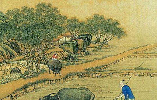 1476083389315638.jpg 1.jpg