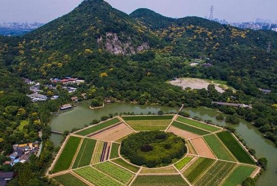 1476083401496492.jpg 1476083401496492.jpg