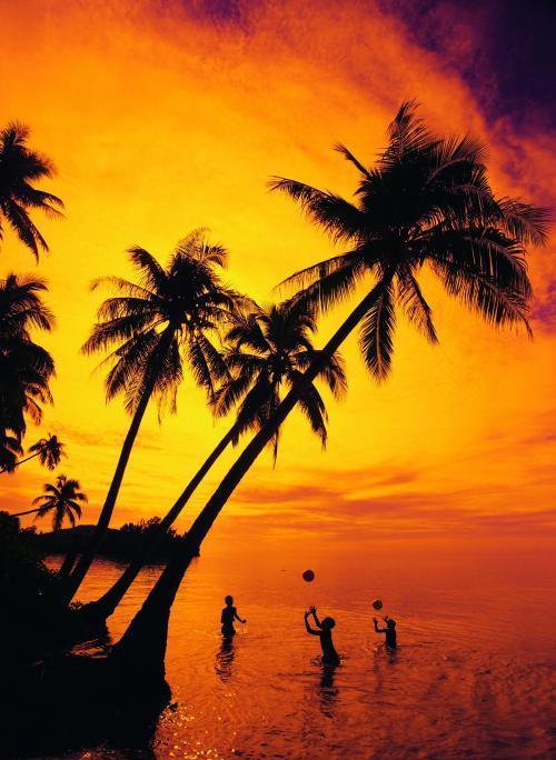 1514446624550085.jpg 1514446624550085.jpg