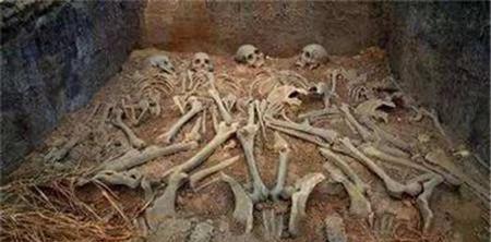 1510733250199666.jpg 1dc600025a48ae5dce6e.jpg