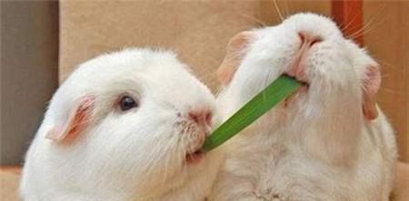 1508403304665076.jpg 3e66000332905a670a68.jpg